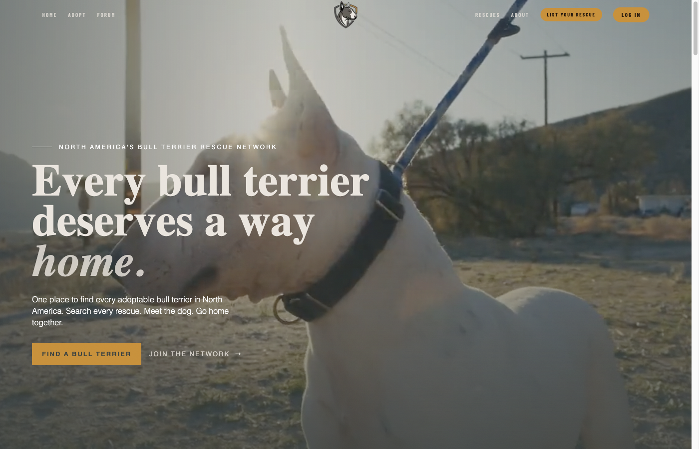 Bull Terrier Rescue Network